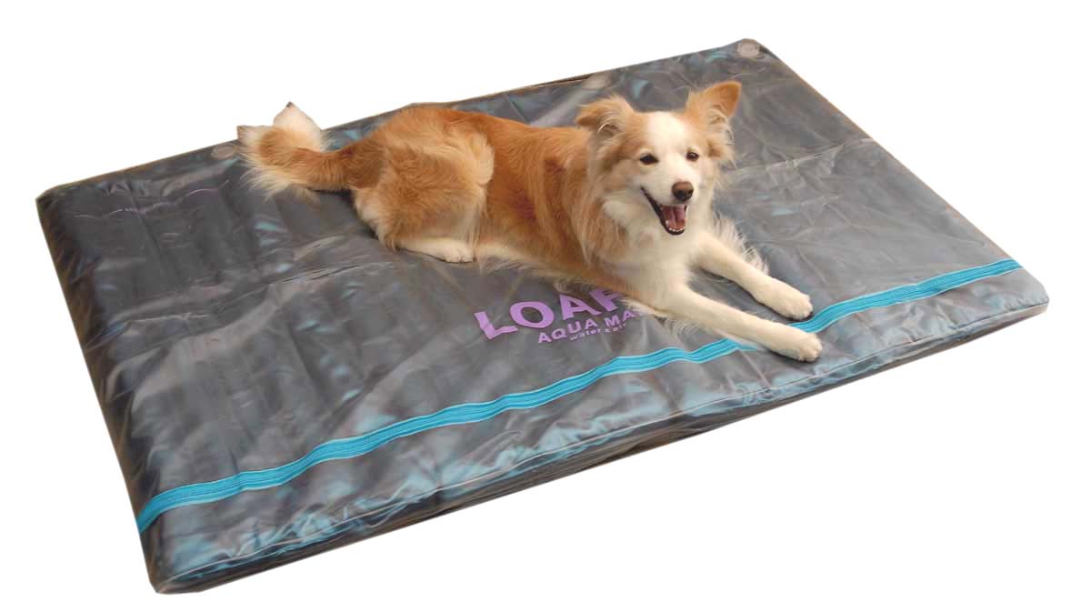 DOGS 犬の ウォーターベッド 4L ( 介護 床ずれ 熱中症 予防 防止 体圧分散 エ…...:passel:10000019