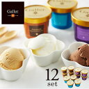 ベルギー王室御用達 Galler ガレー監修 アイスクリーム詰め合わせ【メーカー直送商品】【直送品のため包装紙利用不可・代引き購入不可】【冷凍便】