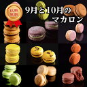 【全国送料無料】9月と10月のマカロン(...