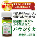 ケイ素の王様「パウシリカ」【原粉末 30日分】【1日122円=ケイ素40mg】特許製法ケイ素PAWシリカは、水溶性ケイ素、国産稲100%由来で薬品一切不使用、ケイ素濃度第1位の41万ppm。パウシリカは超高濃度の水溶性・植物性非晶質ケイ素。信頼のパウシリカ!