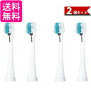 パナソニック イオン用密集極細毛ブラシ(白) 2本入 2個セット Panasonic イオン対応ドルツ専用 EW0913-W 送料無料