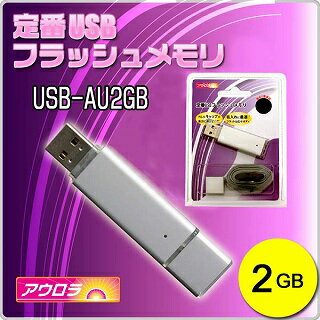 USB-AU2GB(USBメモリ2GB・フラットなボディで名入れ楽々・キャップは背面装着可能・ストラップ付)