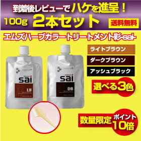 【メール便速達で送料無料】エムズハーブカラートリートメント彩-sai-100g×2本セット到着後レビューで塗布に便利なエコブラシ進呈！白髪染め 男性用 女性用 男女兼用白髪 生え際 黒く リタッチ 白髪染 髪染め 若白髪 髪染める 染める 毛染め 白髪かくし
