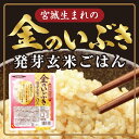 ラドファ金のいぶき発芽玄米ごはん...