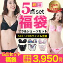 ブラ 福袋 おまかせ ブラジャー&ショーツ5組入【送料無料 A65〜F95】福袋 下着 レディース セット ブラジャー ショーツ セットブラ&ショーツ ブラ福袋 おまかせ5組セット