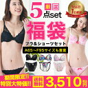 ブラ福袋 おまかせ ブラジャー&ショーツ5組入セット【送料無料 A65〜F95】福袋 下着