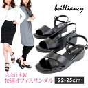 brilliancy uAVC ItBXT  i[X ɂ { ɂȂ q[5cm  炩 ~[ EFbW\[ fB[X ubN fBJ