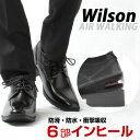 Wilson ウィルソン AIR WALKING ハイブリッ...