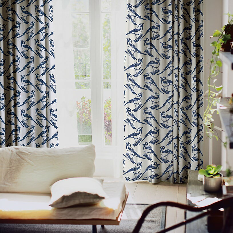 1cm݂ J[e I[_[J[e yŒZ6cƓŏoׁzyszX~mG C@iwVL ?gD? _[Nu[C@iwVL  VWEJ k_