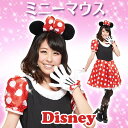 ディズニー コスチューム 大人 女性用 ミニー 仮