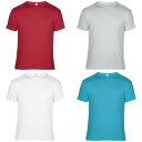 (アンヴィル) Anvil ユニセックス 無地 フェザーウェイト 超軽量 半袖Tシャツ 半袖カットソー カジュアルトップス 男女兼用 【楽天海外直送】