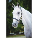 (キンケード) Kincade 馬用 レザー ネームプレート ヘッドカラー 頭絡 馬具 乗馬 ホースライディング 【楽天海外直送】