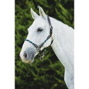 (キンケード) Kincade 馬用 レザー ロープ ヘッドカラー 頭絡 馬具 乗馬 ホースライディング 【楽天海外直送】