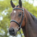 (キンケード) Kincade 馬用 レザー ライズド カブソンブライドル II フランス鼻革 馬具 乗馬 ホースライディング 【楽天海外直送】