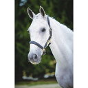 (キンケード) Kincade 馬用 レザー ネームプレート ヘッドカラー 頭絡 馬具 乗馬 ホースライディング 【楽天海外直送】