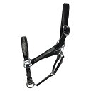 (ハイ) Hy 馬用 ジュエル付き レザーヘッドカラー 馬具 乗馬 ホースライディング 【楽天海外直送】