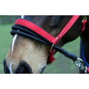 (サンドリー) Sundry 馬用 Ezyloader ヘッドカラーアダプター 馬具 補助具 乗馬 ホースライディング 【楽天海外直送】
