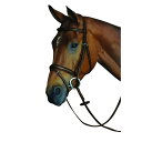 (カレッジエイト) Collegiate 馬用 快適 クラウン パッド入り ライズドレザー フラッシュブライドル 頭絡 馬具 乗馬 ホースライディング 【楽天海外直送】