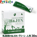 Premium乳酸菌H&JIN グリーン 人用 30包(乳酸菌 サプリ サプリメント エイチジン 人間用 高品質乳酸菌 快便 快腸 腸活)