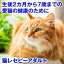 ホリスティックレセピー 成猫用 1.6kg(生後2ヶ月〜7歳まで) (猫 ネコ ねこ 用品 キャットフード えさ 餌 エサ ごはん ご飯 子猫 成猫 シニア 尿結石 尿路 尿 毛玉 ヘアボール 肥満 アメリカンショートヘアー スコティッシュ マンチカン ペルシャ ) 2,860円
