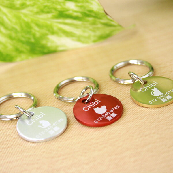 ⡦䡦Ƽ٤Τ򤷤»һ̵ǭ»һڴݷۡĦڤƾפʥ