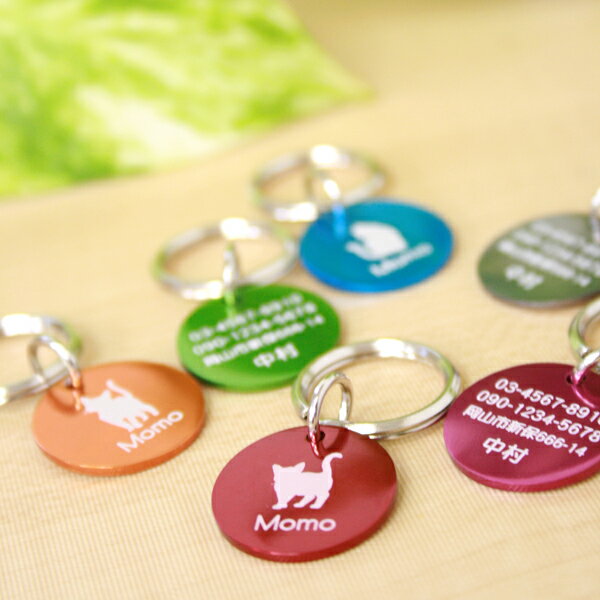 6٤Τ򤷤»һ̵ǭ»һڥ뷿ۡξĦӷڤƾפʥݥåץ顼ǥ磻