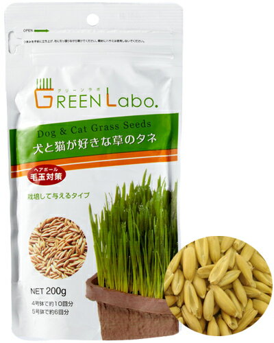 エイム　GLEEN Labo　犬と猫が好きな草のタネ　200g