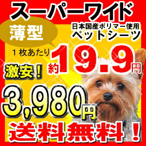 〔送料無料〕激安！1枚あたり19.9円　200枚（50枚×4個）ペットシーツ・トイレシート〔スーパーワイドサイズ〕 02P02Mar14〔送料無料〕激安！ペットシーツ・トイレシートスーパーワイドサイズ1枚あたり19.9円　200枚　3,980円！