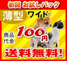 激安！ペットシーツ〔ワイド〕2枚　サンプル　送料無料で100円