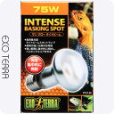 GEX エキゾテラ ライティング 爬虫類・両生類用 サングロータイトビームバスキング スポットランプ100W PT2138 【J】(PET) JAN4972547019103