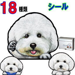 母の日 プレゼント 1000円ポッキリ 犬 ステッカー おしゃれ かわいい かっこいい おしゃれ 車 オーダー メイド Sサイズ 肉球 スーツケース 玄関 足跡 <strong>ビションフリーゼ</strong> グッズ 雑貨 <strong>シール</strong> 車に貼る 犬 ステッカー 車用 可愛い ドッグ 犬ステッカー 車 プレゼント