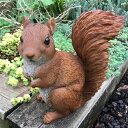 ■ガーデンオブジェ■庭の動物たちひょっこりリス
