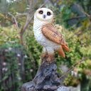 ■ガーデンオブジェ■庭の動物たちフクロウ