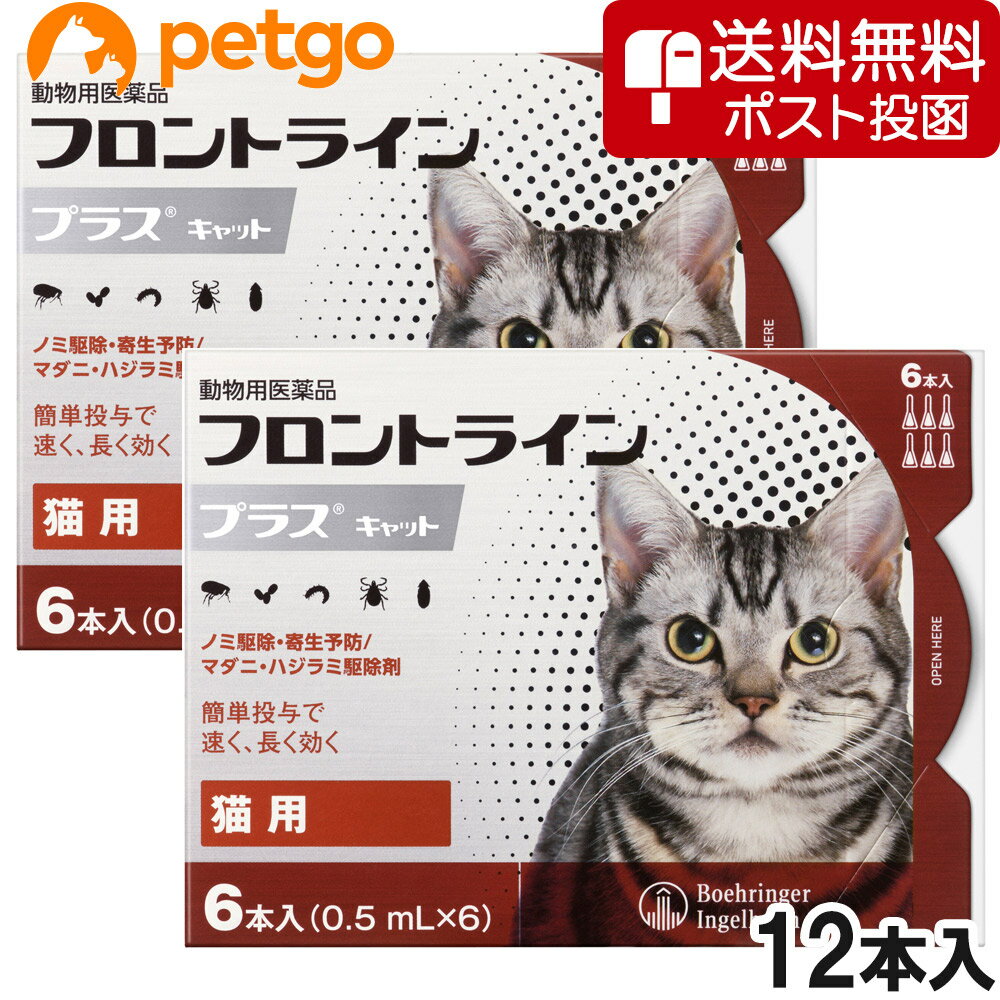 【クロネコDM便専用】【2箱セット】猫用フロントラインプラスキャット 6本（6ピペット）（動物用医薬品）