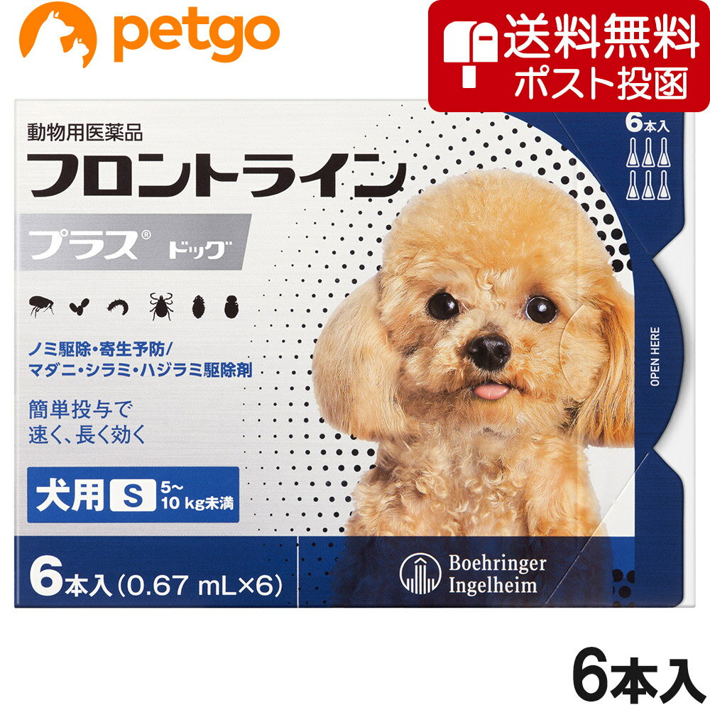 【クロネコDM便専用】犬用フロントラインプラスドッグS 5〜10kg 6本（6ピペット）（動物用医薬品）