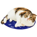 ペティオ クールアルミジェルマット 猫用 ソフトクールジェルシート クールマット 猫 全猫種 ネコ 夏用 短毛犬 長毛犬 短毛猫 長毛猫 生地:ポリエチレン ナイロン アルミニウム 中身:ポリウレタン 精製水 高分子吸収体(ポリマー) CMC 防腐剤 Petio
