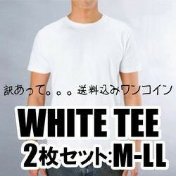 訳あって。。日本製ホワイトTシャツ★アダルトサイズM-LL着用に何の問題もないのですが・・・イレギュラー商品なので・・・【メール便一通ずつで送料無料】 2枚セット、ワンコインで！救ってあげて下さい。。