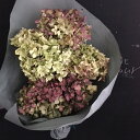 アジサイのドライフラワー花束/スワッグに!DIY/カントリー/ナチュラル/キッチン玄関飾りに/ハンドメイド/インスタ映えに!