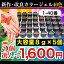 新作改良カラージェル40色から選べる5個セット1♪ランキング常連！ランキング常連♪大人気の　UV/ LED 対応 ソークオフ出来るカラージェル★8gの大容量で納得ジェルネイル♪綺麗な発色！新作改良カラージェル40色から選べる5個セット