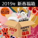 【宅配便送料無料】【18wライト】2019年新春福箱[ジェル...