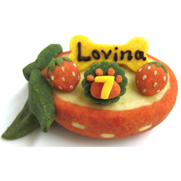 【送料無料 送料込】Lovina（ロビナ）　いちごのバスケットケーキ【犬　ケーキ　誕生日】