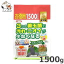 ★【12月のお買い得商品】イトスイ カメのごはん納豆菌 1500g