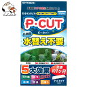 コトブキ P・カット マット60