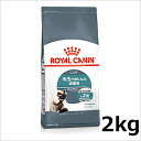 ロイヤルカナン インテンス ケアボール 2kg 毛玉が気になる成猫用