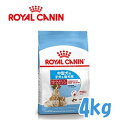 ロイヤルカナン(ROYALCANIN)ドッグフード ミディアムスターター マザー&ベビードッグ 離乳期の中型犬子犬用/妊娠後期及び授乳期の母犬用 4kg 【5,400円以上で送料無料】【10P03Dec16】【お得なクーポン】