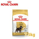 ロイヤルカナン BREED ミニチュア シュナウザー 成犬・高齢犬用 (生後10ヵ月齢以上) 7.5kg 【ロイヤルカナン(ROYAL CANIN)/ドライフード/ミニチュアシュナウザー専用/ペットフード/DOG FOOD/ドッグフード】【5,400円以上で送料無料】【10P03Dec16】【お得なクーポン】