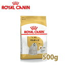 ロイヤルカナン BREED マルチーズ成犬・高齢犬用 (生後10ヵ月齢以上) 500g 【5,400円以上で送料無料】【ロイヤルカナン(ROYAL CANIN)/ドライフード/成犬用(アダルト)・高齢犬用(シニア)・マルチーズ専用/ペットフード/DOG FOOD/ドッグフード】