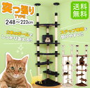 キャットタワー ツイン突っ張り 送料無料キャットタワー 猫タワー 突っ張り おしゃれ コーナー スリム キャットタワースリム 突っ張りキャットタワー スリムキャットタワー ベージュ ブラウン ネイビー【D】 楽天 ≪現在の当店オススメ≫◆5 あす楽