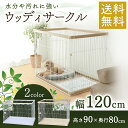 【350円OFFクーポン対象】 《最安値に挑戦!》犬 サーク...