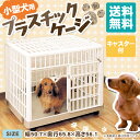 【5%OFFクーポン対象】 【あす楽対象】 【送料無料】プラ...